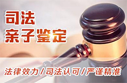 广西司法亲子鉴定多少钱地址咨询